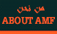 ABOUT AMF
